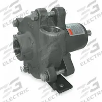 Pedestal Pump: Sized for 1/3 hp, 44 ft Max Ft of Head, 5/8 in Shaft Out Dia, SS. (MPN 2ZWY8). Key specifications — Brand: DAYTON.