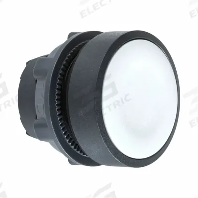 SCHNEIDER Flush Push Button: Gray, 22 mm Mounting Size, Non-Metallic - Flush-Mount & Recessed Push-Button Operators