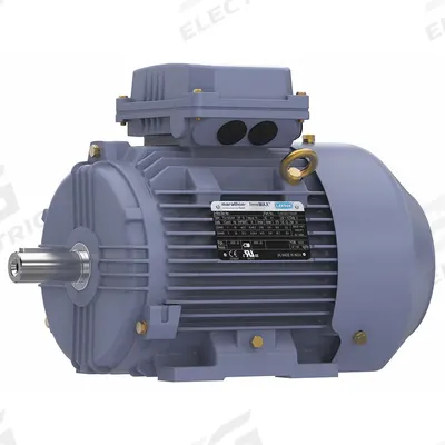 MARATHON MOTORS Metric Motor: 4 hp, Rigid Base Mount, 100L Frame Size - Rigid Base 3-Phase IEC Metric General Purpose AC Motors