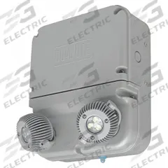 Emergency Lights: 12 W Lamp Watt, 24 W Emergency Watt, 120V AC, 2 Lamp Heads, Plastic, Surface, Gray (MPN DYN12I-06L). Key specifications — Input Voltage: 120V AC; Housing Material: Plastic; Mounting Type: Surface; Housing Color: Gray; Lighting Technology: LED; CA Title 20 Compliant: Yes; Environmental Rating: Damp Location Rated; IP Rating: Not Rated.
