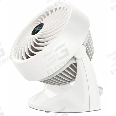 VORNADO Circulating Fan: 7 3/16 in Blade Dia, Non-Oscillating, 3 Speeds, 11 5/16 in Ht - Office Floor Fans