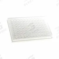 MTC BIO Well Plate: Non-Sterile, 96 Wells, 0.34 mL, 6.9 mm Dia, RNase/DNase Free, Round, Polystyrene (MPN DP35F-96-W). Key specifications — attr1383549: MTC BIO; attr1395490: White; attr1383559: Yes; attr1395487: Round; attr1434131: Polystyrene.