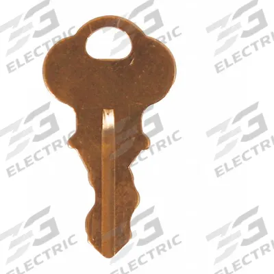 SAFETY TECHNOLOGY INTERNATIONAL Key: Nickel, 1 1/2 in Overall Lg, KIT-H19032 - Keys for Alarm & Wall Fixture Covers