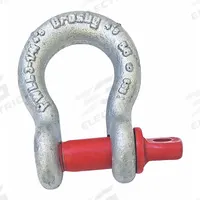 CROSBY Anchor Shackle: Anchor Shackle, 9,500 lb Working Load Limit, 2 in Compatible Sling Wd, Silver (MPN 1018491). Key specifications — Body Color: Silver; Brand: CROSBY.