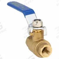 APPROVED VENDOR Manual Two-Way Ball Valve: 1/4 in, Brass, Straight, FNPT x FNPT, Full Port Ball Port (MPN G-F600-25). Key specifications — Brand: APPROVED VENDOR; Handle: Lever.