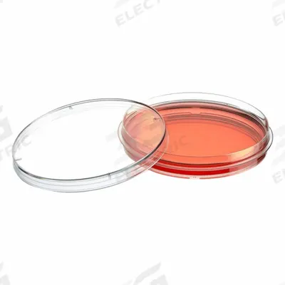 GLOBE SCIENTIFIC Tissue Culture Well Plate: Sterile, 18 mL, 100 mm Dia, RNase/DNase Free - Cell Culture Plates