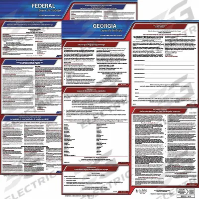 JJ KELLER Labor Law Poster: GA, Spanish, Plastic, 20 in x 24 in - State & Federal Labor Law Poster Sets