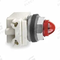 SCHNEIDER ELECTRIC Pilot Light: 30 mm Panel Mounting Size, Red, Incandescent, 9001K Series (MPN 9001KP1R9). Key specifications — Series: 9001K; Brand: SCHNEIDER; Includes Push-To-Test: No Push-To-Test Included.