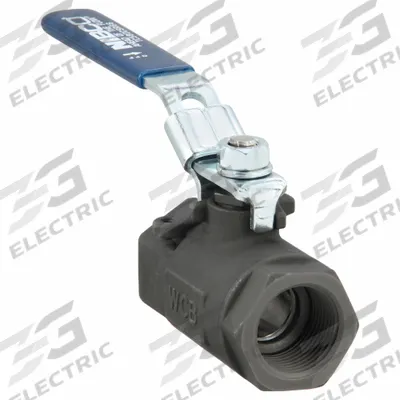 CHEMTROL Manual Two-Way Ball Valve: 1 in, Carbon Steel, Straight, FNPT x FNPT - Vented Ball Carbon Steel Ball Valves