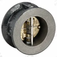 SSI Double Disc Check Valve: Double Disc, Inline Valve Body, 2 in Pipe Size, Wafer, Cast Iron, Wafer (MPN 0200-125WTIBB-T). Key specifications — Brand: SSI.