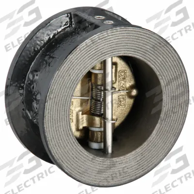 SSI Double Disc Check Valve: Double Disc, Inline Valve Body, 2 in Pipe Size - Cast Iron Double-Door Wafer Check Valves