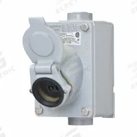 Receptacle: 1 Gang, 5-20R/6-20R, GFCI, 125V AC, 15 A_20 A (MPN ECSK2023). Key specifications — Brand: APPLETON ELECTRIC.