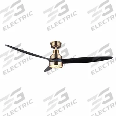 CANARM Ceiling Fan: 52 in Blade Dia, 5 Speeds - Decorative Office Ceiling Fans