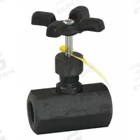 APOLLO Globe Valve: For Air/Fluids/Gas Media, Carbon Steel, Z-Body, 1/2 in Pipe Size, FNPT x FNPT (MPN 60B10324). Key specifications — Brand: APOLLO; Stem: Rising.