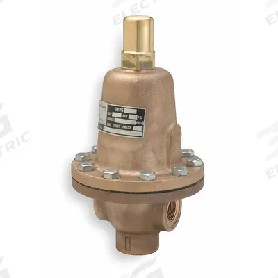 CASH VALVE Adjustable Back Pressure Valve: FNPT x FNPT, 1/2 in x 1/2 in - Stainless Steel General Purpose Pressure Regulators
