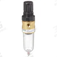 SPEEDAIRE Filter-Regulator: Miniature Series, 1/4 in NPT, 12 cfm, 5 micron, 5 psi to 125 psi, Brass (MPN 4ZK77). Key specifications — attr109419: SPEEDAIRE; attr109429: Brass; attr109463: No; attr109467: Rubber; attr109468: Miniature.