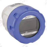 Indicating Transmitter: 0 psi to 50 psi, 4 to 20 mA, Screw Terminals, 1/4 in Female NPT, IP66 /4 (MPN GC517F0242CD50#G). Key specifications — Burst Pressure: 5x Range; Display Type: Digital; Display Screen Type: LCD; Brand: ASHCROFT; Accuracy: ±0.25% of Full Scale; Power Required: 12 to 32 V DC.