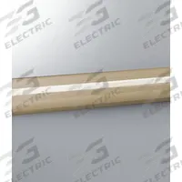 PAWLING CORP Accent Rail: EBR-30, PVC, Tan, 2 in Overall Ht, 12 ft Overall Lg (MPN EBR-30-12-3). Key specifications — Brand: PAWLING CORP; Color: Tan; Product Type: Accent Rail; Series: EBR-30; Internal Rubber Bumper: No.