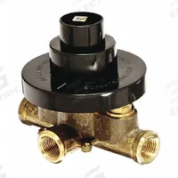 ZURN Bathtub and Shower Valve: Temp-Gard® III, Compatible Product Type Shower Valves, Tub Plug (MPN TPK7300-SS). Key specifications — Brand: ZURN; Product Type: Bathtub and Shower Valve; Compatible Product Type: Shower Valves; Includes: Tub Plug; Compatible Series: Temp-Gard® III.