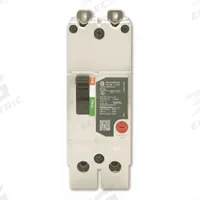 GE Molded Case Circuit Breaker: 100 A Amps, 65kA at 277/480V AC, Fixed, Lug, ABC (MPN TEYL2100B). Key specifications — Series: TEY; Max. AIR Rating: 65kA at 277/480V AC; Instantaneous Trip: Fixed; Terminal Connection: Lug; Phase Connection: ABC.