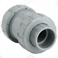 HAYWARD Check Valve: Ball, Inline Valve Body, CPVC, 2 in Pipe Size, True Union Socket/NPT, Std, FKM (MPN TC20200ST). Key specifications — Ball Material: CPVC; Brand: HAYWARD.