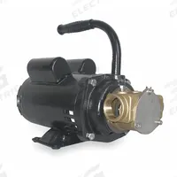 DAYTON Utility Pump: 115/230V AC, 80 ft Max head, 1 in FNPT, 1 in FNPT, 5,000 SUS Max. Viscosity (MPN 3ABZ6). Key specifications — Nameplate Voltage: 115/230V AC; Impeller Material: Buna-N; Brand: DAYTON.