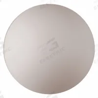 ARO Check Ball: Check Ball, 93100-E, Santoprene Material. Key specifications — Manufacturer Part Number: 93100-E.