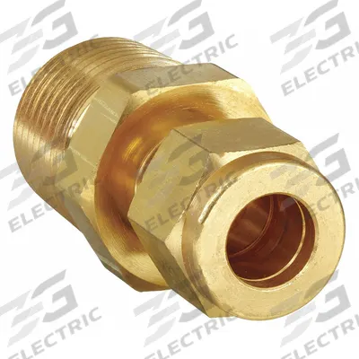 PARKER Compression Fitting Adapter: 1/4 in OD x 1/8 in Pipe Size, Compression x MNPT - Single-Ferrule Brass Compression Fittings