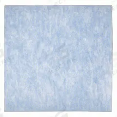 GRAINGER Air Filter Pad: 22 in x 22 in x 1 in, Polyester, Blue/White (MPN 6B737). Key specifications — attr1286261: Polyester; attr1286264: Yes; attr1286288: Blue; attr1286283: GRAINGER.