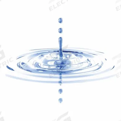 THERMO SCIENTIFIC Cleaning Syringe: Type I - Water Purification System Sanitization Kits
