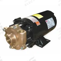 Centrifugal Pump: 3/4 hp, 230/460V AC, 50 ft Max Head, 1 1/4 in , 1 in Intake and Disch, ODP (MPN 2ZWR8). Key specifications — Brand: DAYTON; Motor Enclosure Type: ODP.