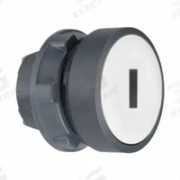 SCHNEIDER Flush Push Button: 22 mm Mounting Size, Non-Metallic, Momentary (MPN ZB5AA131). Key specifications — Brand: SCHNEIDER; Action: Momentary; Legend: I; Series: XB5; Push Button Material Type: Non-Metallic.