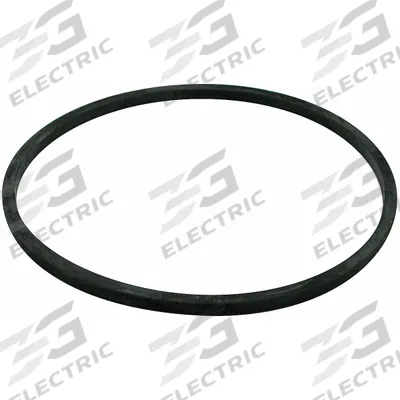 BALDWIN FILTERS Gasket: Hydraulic Filter, Gasket, Buna-N, 3/16 in Lg - Hydraulic Filter Accessories