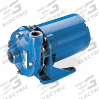 Centrifugal Pump: 1 1/2 hp, 208-230/480V AC, 118 ft Max Head, 1 1/2 in , 1 1/4 in Intake and Disch (MPN 2BF81534). Key specifications — Brand: GOULDS WATER TECHNOLOGY; Motor Enclosure Type: TEFC.
