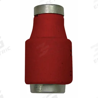 BUSSMANN IEC Fuse: Time Delay, 10 A, 500 V AC - IEC Type D Fuses