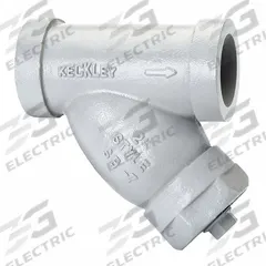 KECKLEY Y Strainer: 2 in, Socket, Perforated, 0.0625 in Screen Size, Carbon Steel, 7 in Ht, 7 in Lg (MPN 25SWY-CS045P34-GTI-SB7). Key specifications — Brand: KECKLEY; Seal Material: 304 Stainless Steel; Manufacturer Part Number: 25SWY-CS045P34-GTI-SB7; Screen Material: 304 Stainless Steel.