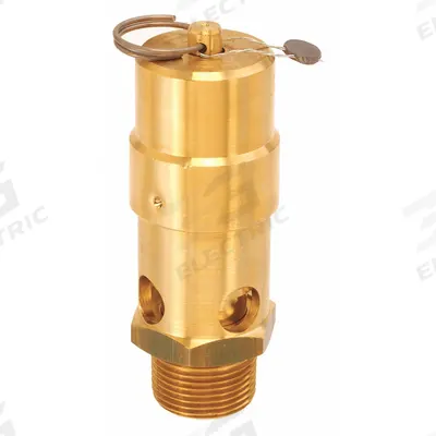 CONTROL DEVICES Air Safety Valve: Soft Seat, 1 in (M)NPT Inlet (In.) - Soft Seat Pneumatic Safety Valves