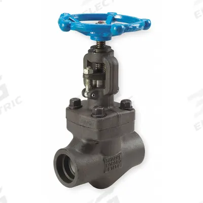 SHARPE Globe Valve: For Steam Media, Carbon Steel, Z-Body, 3/4 in Pipe Size, Socket x Socket - Carbon Steel Straight-Body General-Service Globe Valves