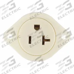 BRYANT Flanged Receptacle: Single, 5-20, White, 125V AC, 20 A, 2 Pole / 3 Wire (MPN 5379)