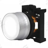 EATON Extended Push Button: 22 mm Mounting Size, Non-Metallic, Momentary (MPN M22-DGLH-W). Key specifications — Brand: EATON; Action: Momentary; Series: M22; Push Button Material Type: Non-Metallic.