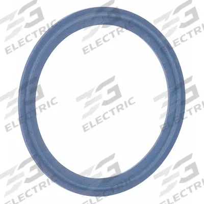 GARLOCK Sanitary Gasket: PTFE/316L Stainless Steel, Tri-Clamp, Std Style, For 2 in Tube - Tri-Clamp Sanitary Gaskets