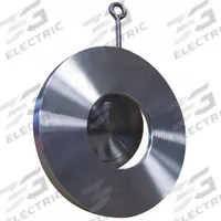 CHAMPION Check Valve: Swing, Inline Valve Body, 3 in Pipe Size, Flange, 316 Stainless Steel, Flange (MPN 3SDS15-SSP-R). Key specifications — Seat Material: Metal; Brand: CHAMPION; Disc Material: 316 Stainless Steel.