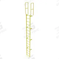TRI-ARC Ladder,Walk-Thru Fixed,Steel,16-Rung: 19 ft Overall Ht, 28 in Overall Wd, Steel, 16 Rungs (MPN WLFS0216-Y). Key specifications — Brand: TRI-ARC; Number of Sections: 1.
