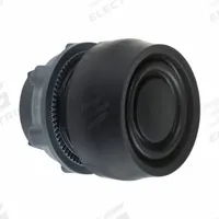 SCHNEIDER Flush Push Button: Black, 22 mm Mounting Size, Non-Metallic, Momentary (MPN ZB5AP2S). Key specifications — Brand: SCHNEIDER; Action: Momentary; Series: XB5; Push Button Material Type: Non-Metallic.