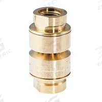 WATTS Dual Check with Atmospheric Vent: LFN9, 3/8 in Pipe Size, FNPT x FNPT, 7 gpm Flow Rate, Brass (MPN LFN9-3/8"). Key specifications — Brand: WATTS; Connection Type: FNPT x FNPT.