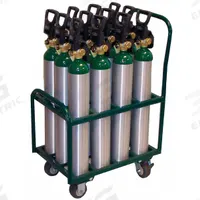 SAFTCART Medical Cylinder Cart: 2,400 lb, 12 Cylinder Capacity, 4 1/2 in Max. Tank Dia., Raised (MPN MDE-12). Key specifications — Brand: SAFTCART; Caster/Wheel Configuration: (2) Rigid.