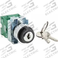 DAYTON Selector Switch: 3 Position, 22 mm Panel Mounting Size, 2NO (MPN 30G279). Key specifications — Manufacturer Part Number: 30G279; Brand: DAYTON; Switch Action: Maintained/Maintained/Maintained; Contact Form: 2NO; Key Removal Position: Center.