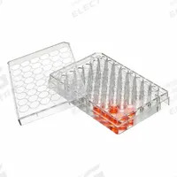 GLOBE SCIENTIFIC Well Plate: Sterile, 48 Wells, 0.29 mL, RNase/DNase Free, Tissue Culture Treated (MPN TC-PLT-48-NT). Key specifications — Brand: GLOBE SCIENTIFIC; Body Color: Colorless; RNase/DNase Free: Yes; Well Shape: Square; Material: Polystyrene.