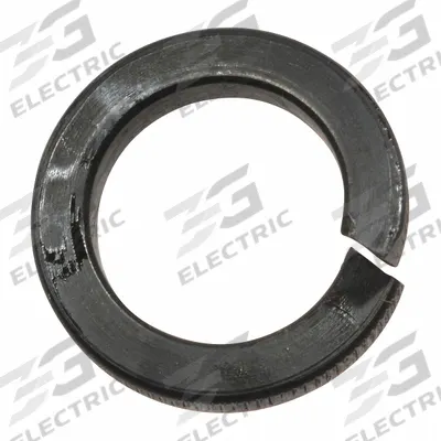 DAYTON Lock Washer: For 3TP98G/3TP99G/3TR01G - GGS Material Handling Parts