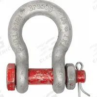 CROSBY Anchor Shackle: Anchor Shackle, 6,500 lb Working Load Limit, 1 1/16 in Wd Between Eyes, Red (MPN 1019490). Key specifications — Body Color: Silver; Brand: CROSBY.